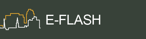 E-Flash Updates